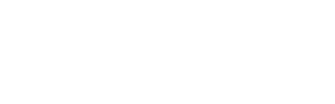Cameron Motorsports logo